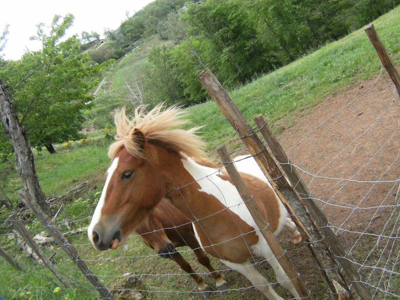 فندق La Ferme Des Cevennes Florac المظهر الخارجي الصورة