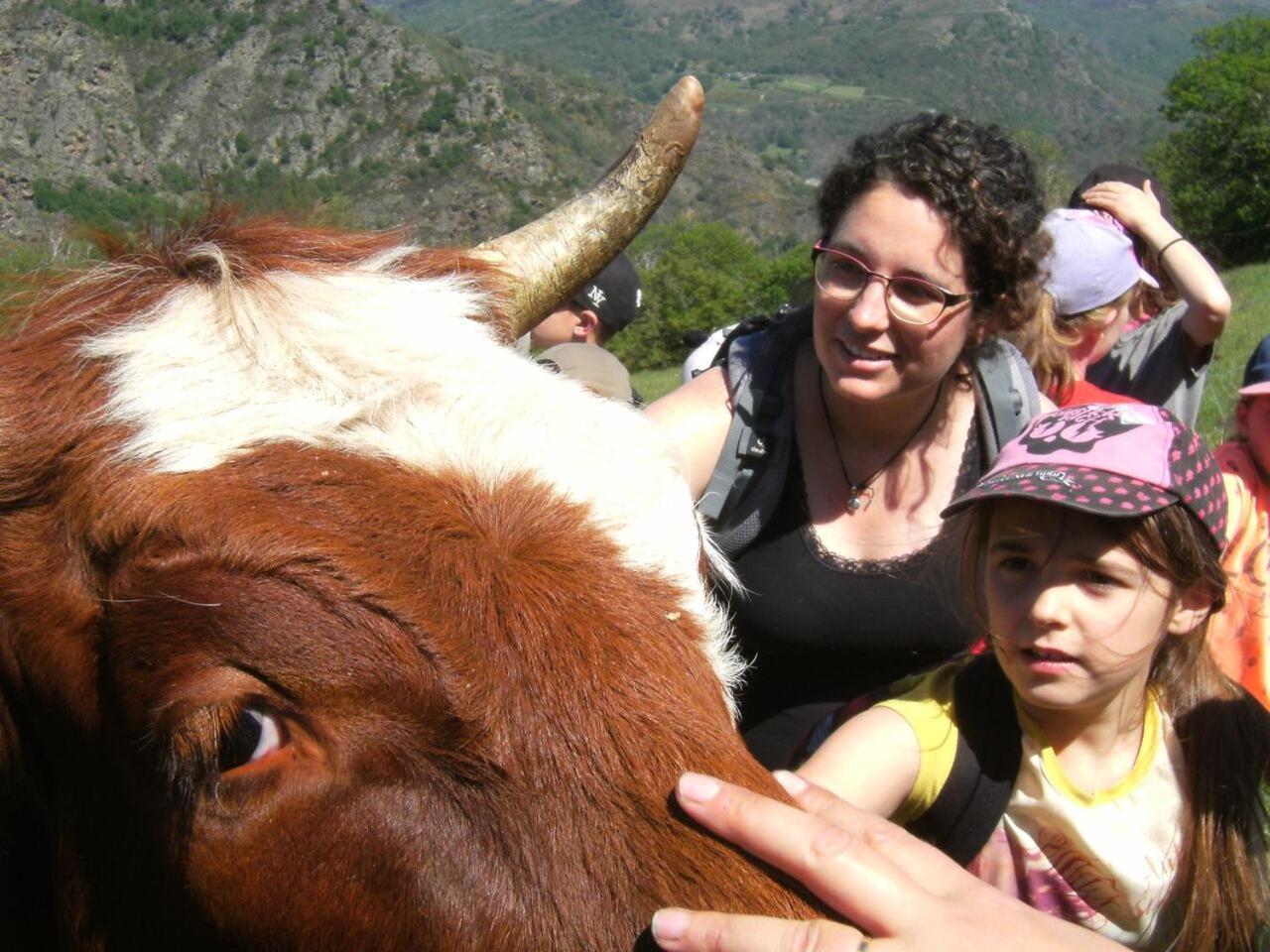 فندق La Ferme Des Cevennes Florac المظهر الخارجي الصورة