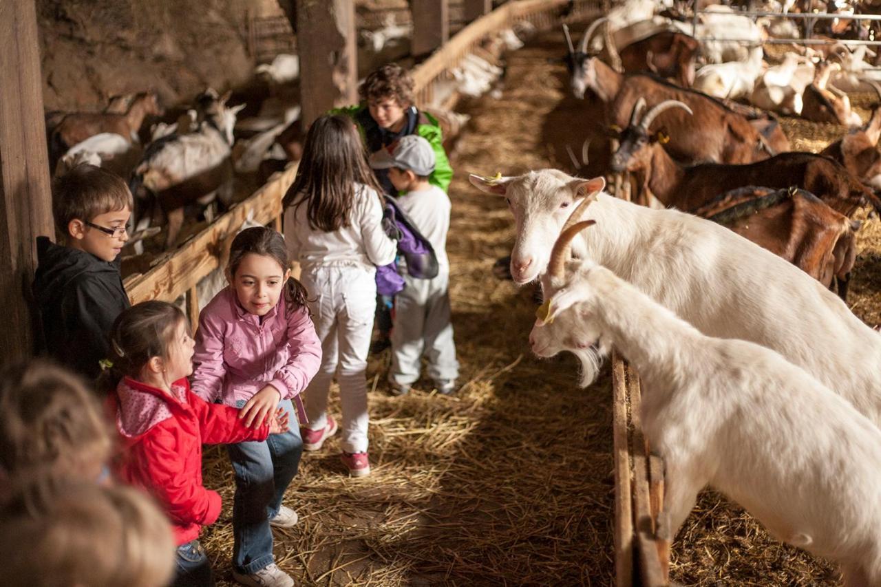 فندق La Ferme Des Cevennes Florac المظهر الخارجي الصورة